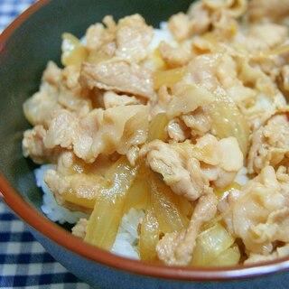 玉ねぎと好相性◎豚丼